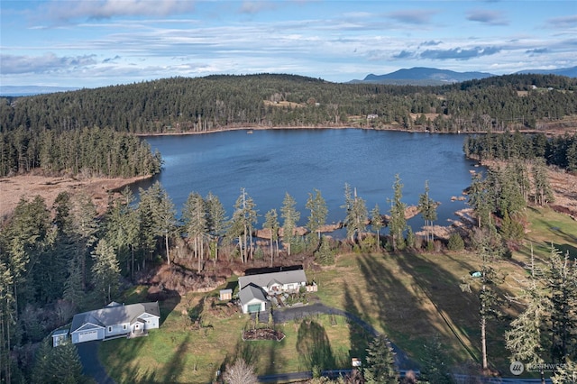 birds eye view of property with a water and mountain view