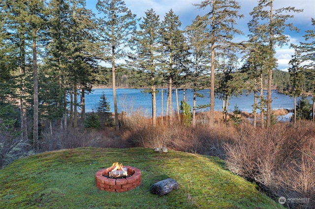 water view featuring an outdoor fire pit