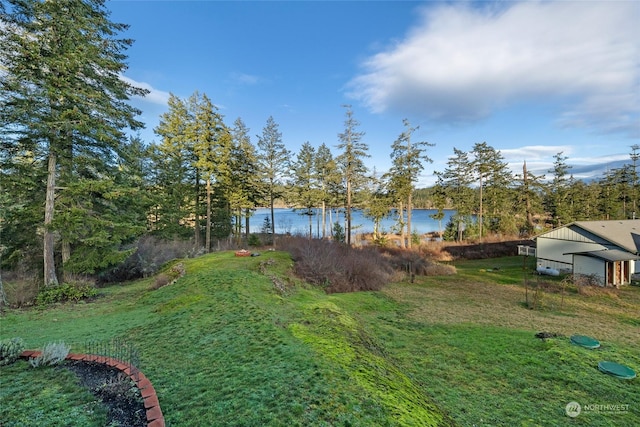 view of yard with a water view