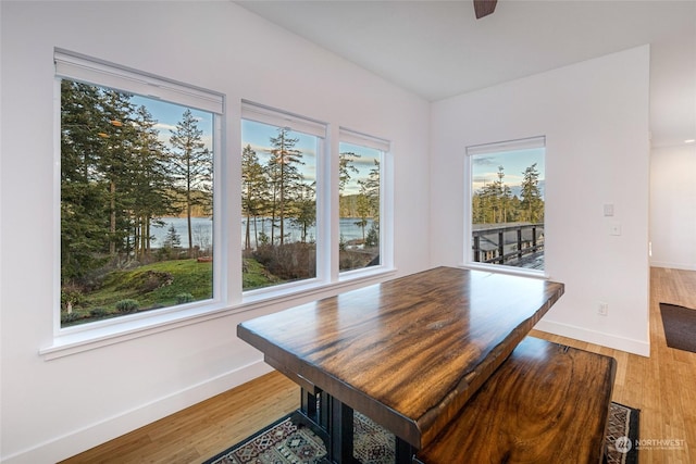 dining space featuring hardwood / wood-style flooring, a healthy amount of sunlight, and a water view