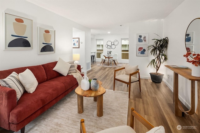 living room featuring light hardwood / wood-style floors