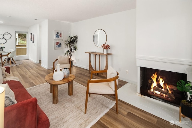 living room with light wood-type flooring