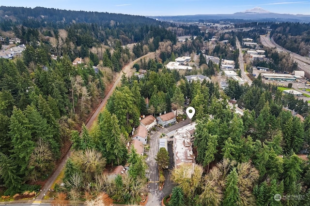 birds eye view of property with a mountain view