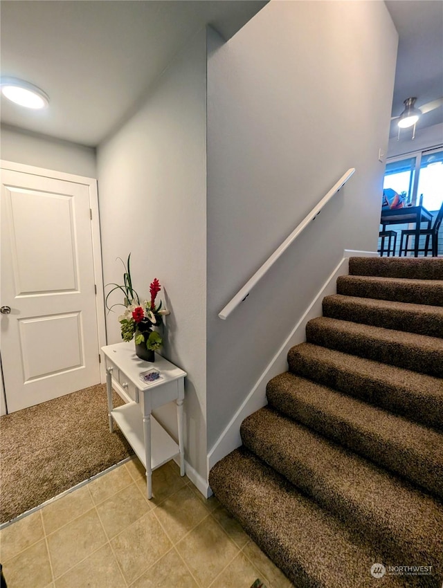 stairs featuring carpet flooring