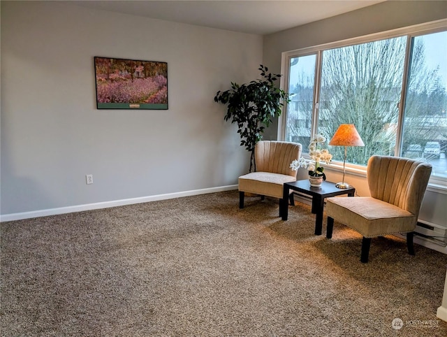 sitting room with carpet floors