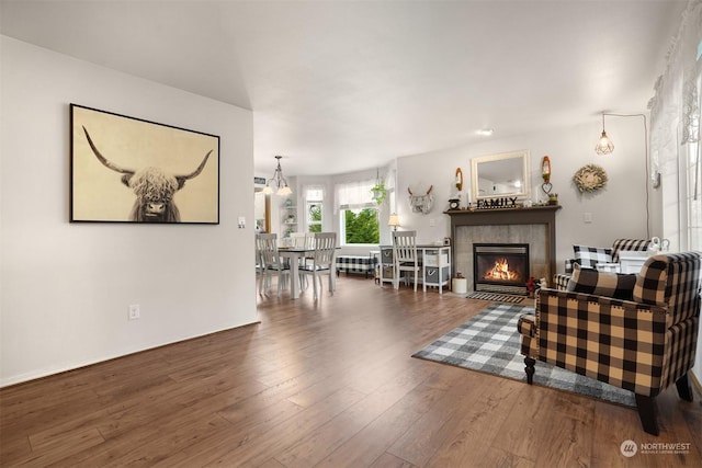 living room with a fireplace and dark hardwood / wood-style flooring