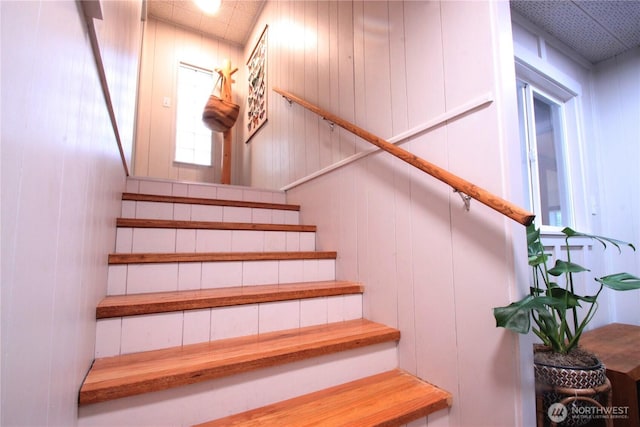 stairway with wooden walls