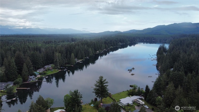 bird's eye view featuring a wooded view and a water and mountain view