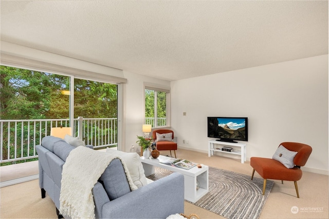 carpeted living room with a textured ceiling