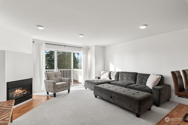 living room featuring light hardwood / wood-style floors