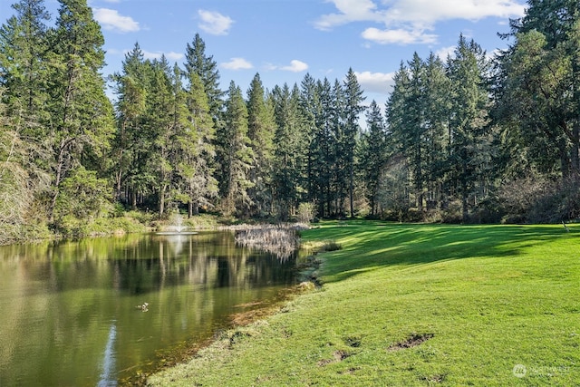 property view of water