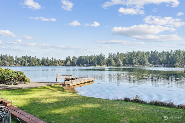 dock area featuring a lawn and a water view