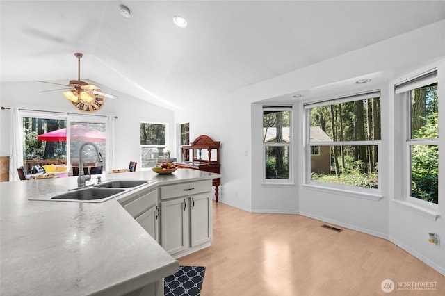 10405 Olympic Pl, Anderson Island, WA 98303 - kitchen featuring a sink, visible vents, vaulted ceiling, and a wealth of natural light