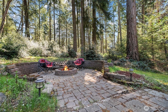10405 Olympic Pl, Anderson Island, WA 98303 - view of patio / terrace with a fire pit