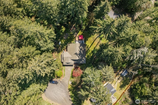 10405 Olympic Pl, Anderson Island, WA 98303 - drone / aerial view