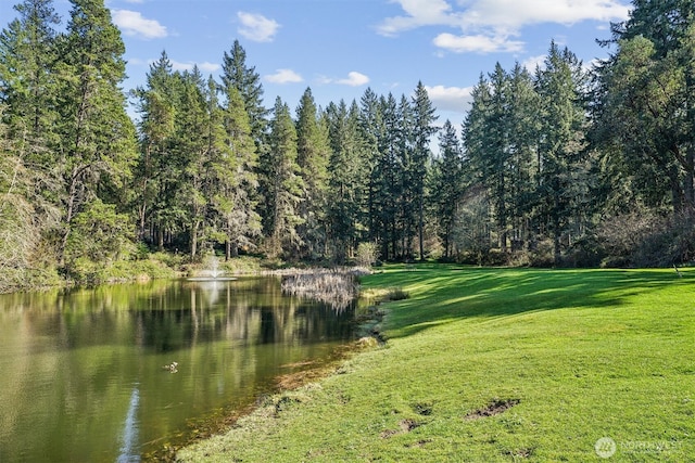 10405 Olympic Pl, Anderson Island, WA 98303 - water view with a forest view