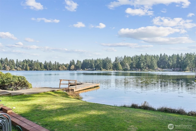 10405 Olympic Pl, Anderson Island, WA 98303 - dock area featuring a lawn, a wooded view, and a water view