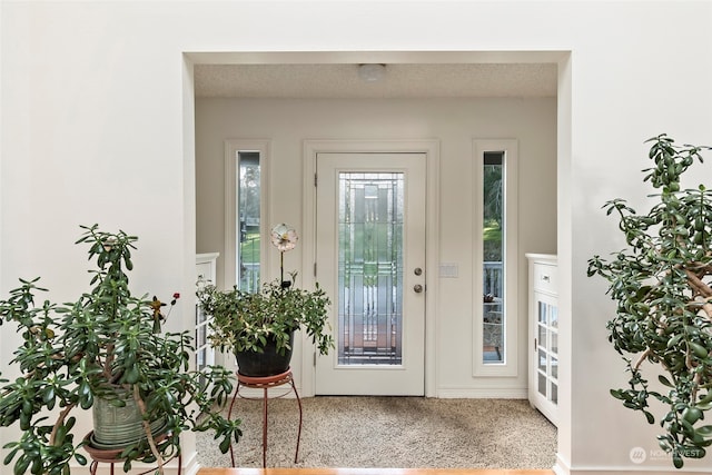 doorway to outside with a wealth of natural light