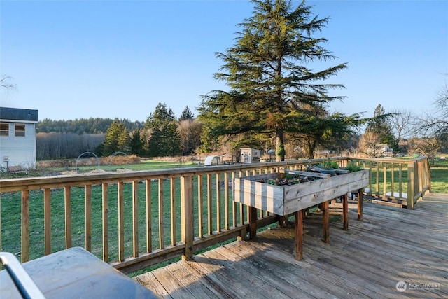 wooden terrace with a lawn