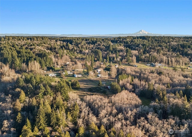 drone / aerial view featuring a mountain view