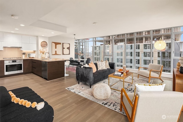 living room with light hardwood / wood-style floors, a wall of windows, and sink