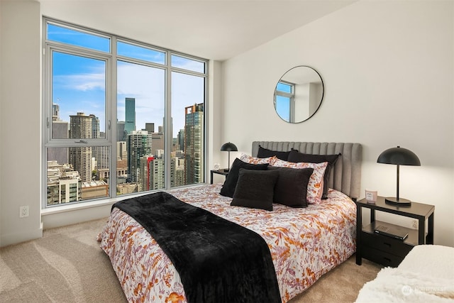 view of carpeted bedroom