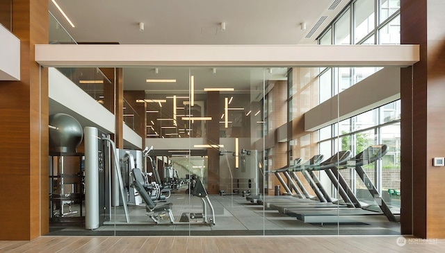 exercise room with a towering ceiling and wood-type flooring