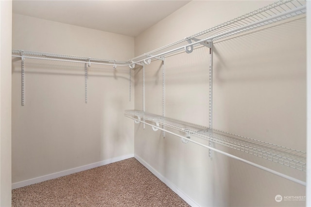 spacious closet with carpet floors