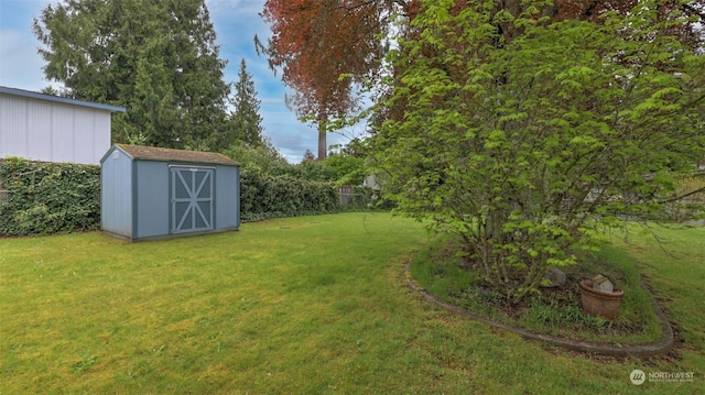 view of yard with a storage unit