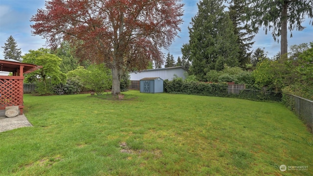 view of yard featuring a storage shed