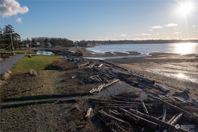 property view of water