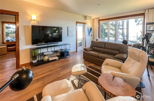 living room with hardwood / wood-style flooring