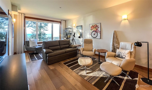 living room featuring hardwood / wood-style flooring