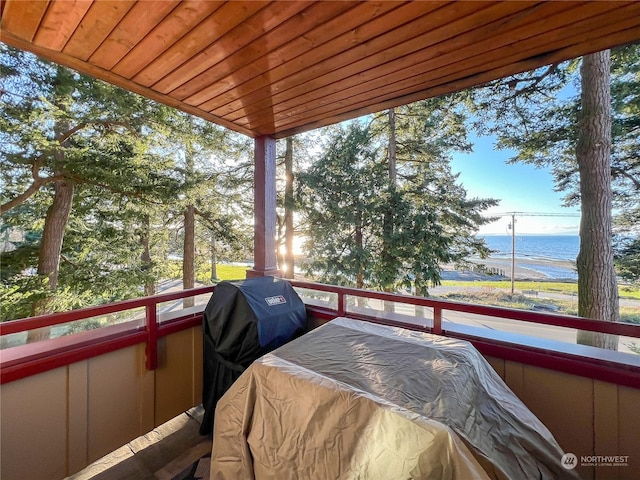 wooden terrace with a water view and grilling area