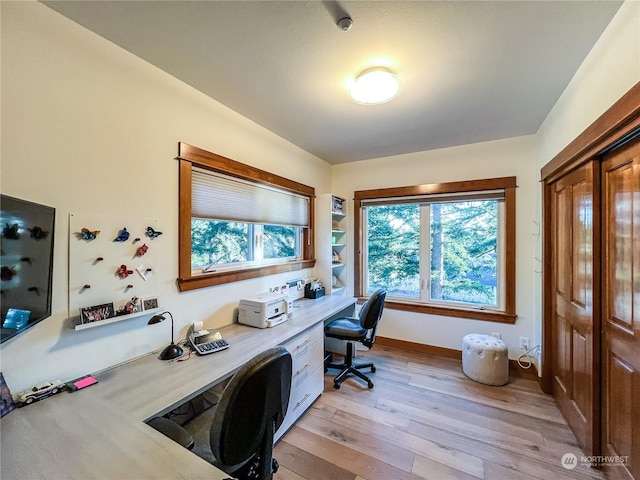 office featuring light hardwood / wood-style flooring