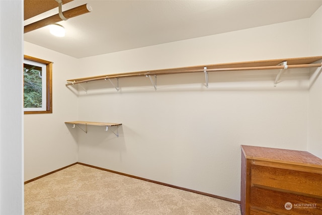 walk in closet with light colored carpet