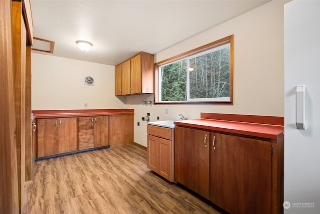 kitchen featuring light hardwood / wood-style floors and sink