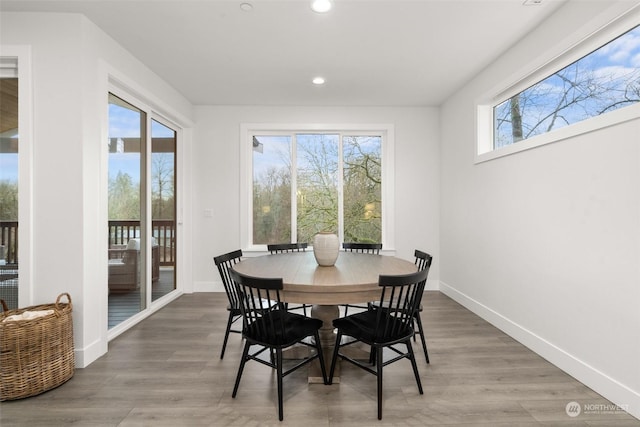 dining space with hardwood / wood-style flooring