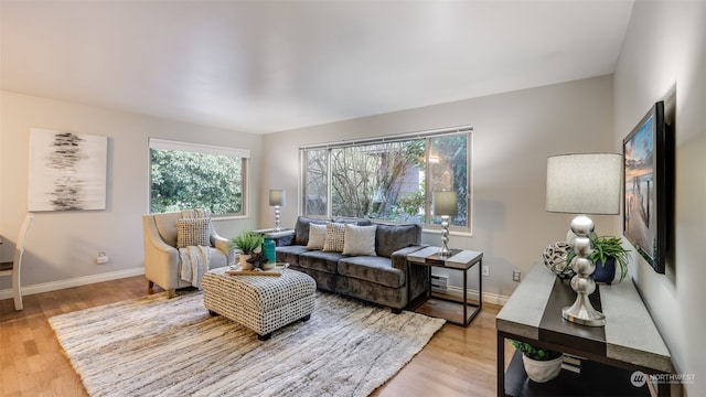 living room with light hardwood / wood-style flooring