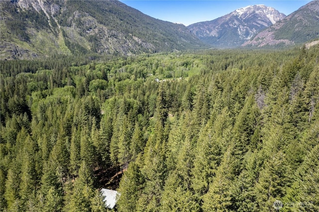 526 Lost River Rd, Mazama, WA 98833 - view of mountain backdrop with a heavily wooded area