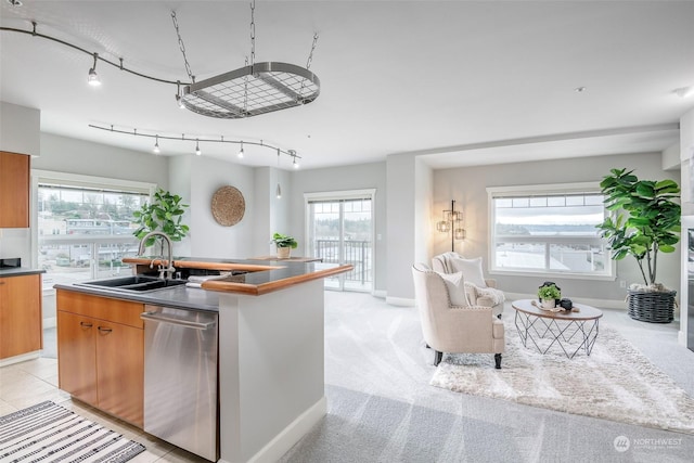 kitchen with a kitchen island with sink, dishwasher, light colored carpet, and sink