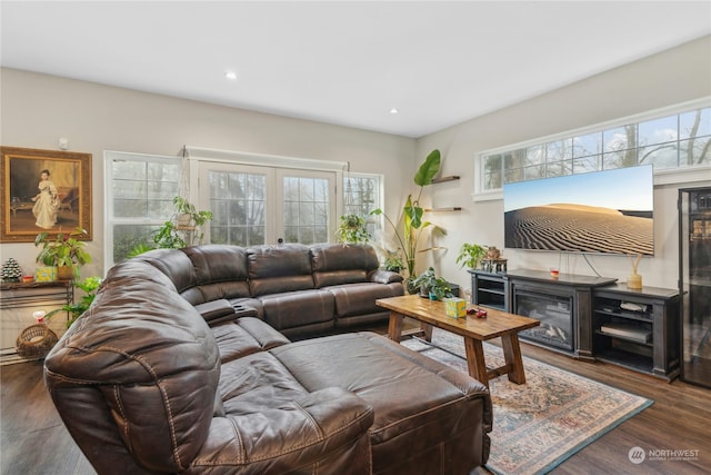 living room featuring french doors and dark hardwood / wood-style flooring