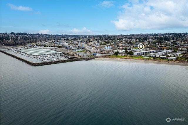 bird's eye view with a water view