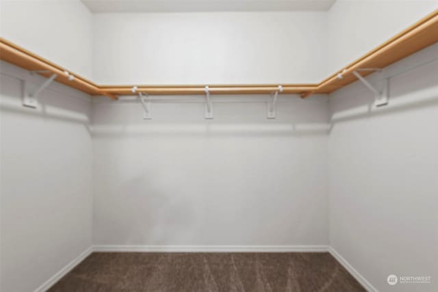 spacious closet featuring dark colored carpet