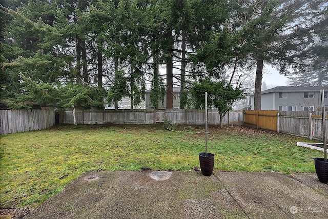 view of yard featuring a patio area