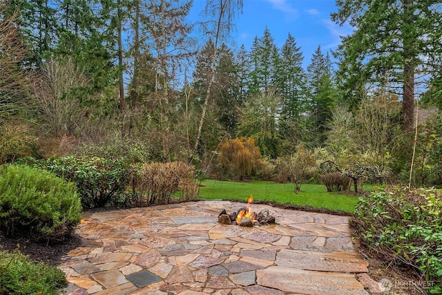 view of patio / terrace with a fire pit