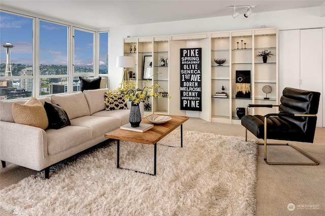 living room featuring light carpet and track lighting