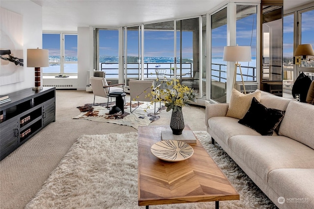 carpeted living room featuring a water view and radiator