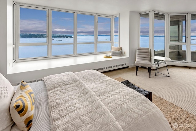 bedroom featuring carpet, a water view, and a baseboard heating unit