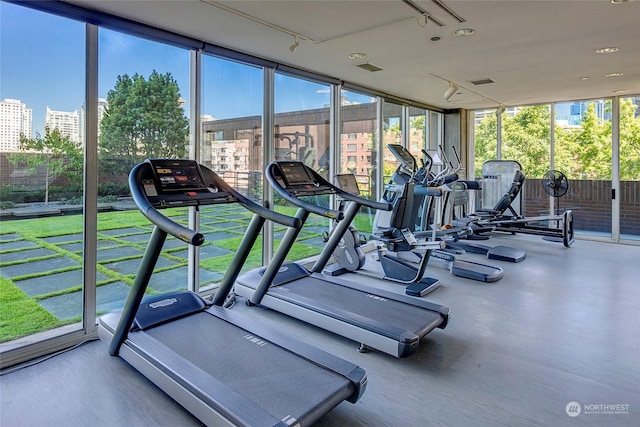 exercise room with plenty of natural light and floor to ceiling windows